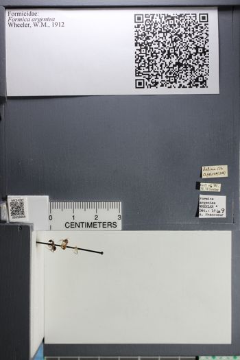 Media type: image;   Entomology 550669